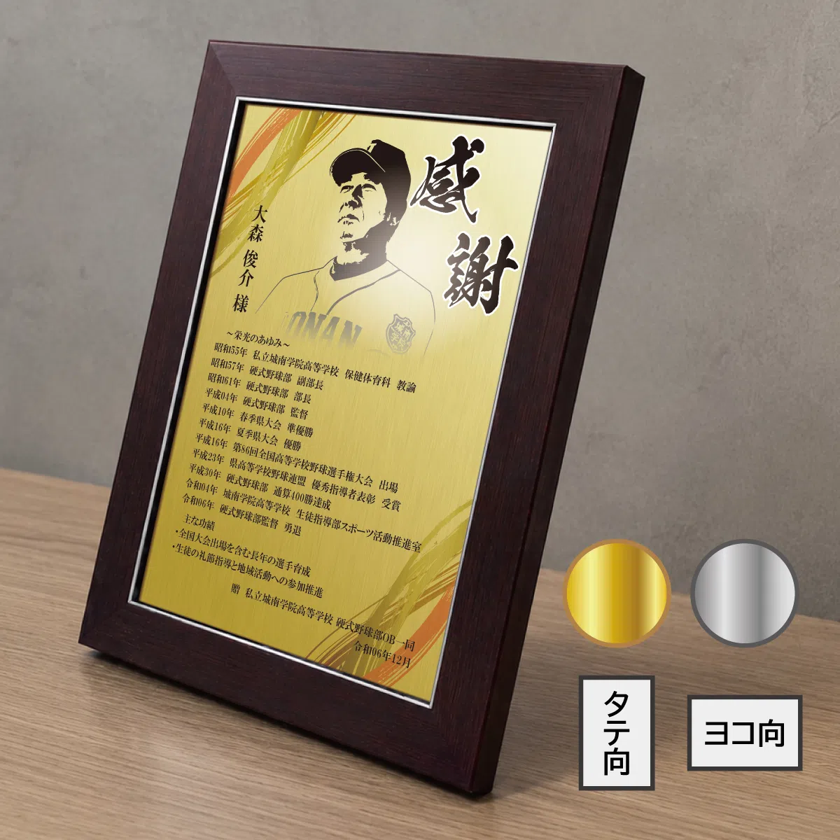 楯タイプ 商品画像