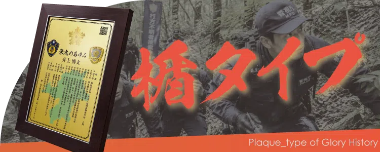 栄光のあゆみ 楯タイプの価格・サイズ案内