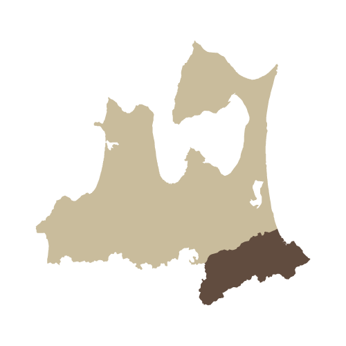 三八地域へ