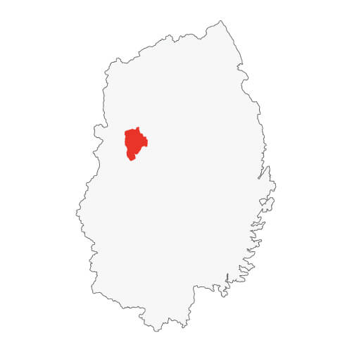 地図イラスト 盛岡地域 オーダーメイド退職祝い 栄光のあゆみ