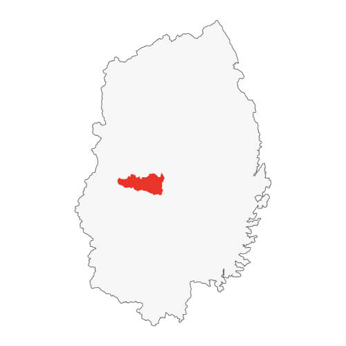 地図イラスト 盛岡地域 オーダーメイド退職祝い 栄光のあゆみ