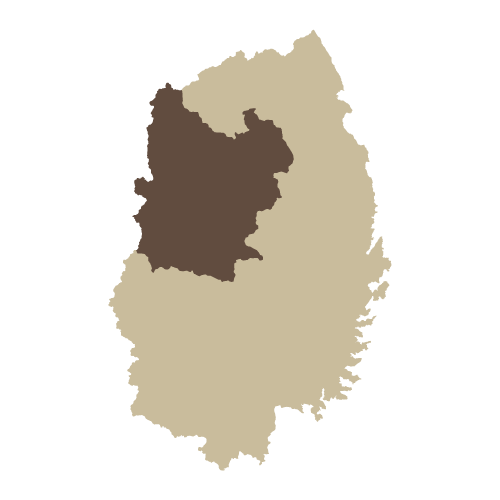盛岡地域へ