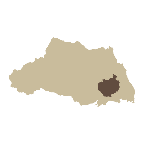 さいたま地域へ