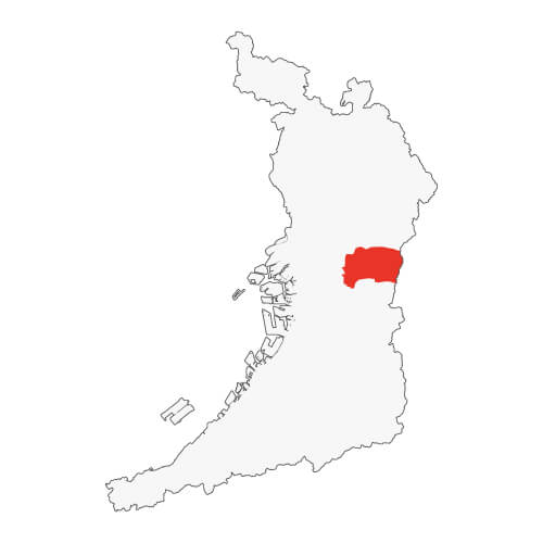 地図イラスト 中河内地域 オーダーメイド退職祝い 栄光のあゆみ