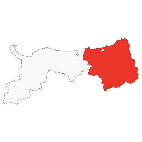 地図イラスト 東部地域 オーダーメイド退職祝い 栄光のあゆみ