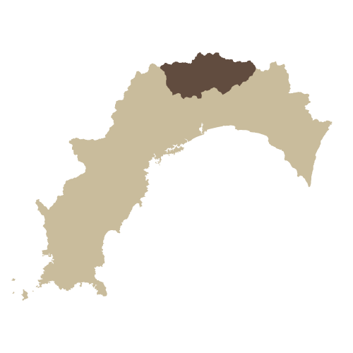 地図イラスト 高知市 オーダーメイド退職祝い 栄光のあゆみ