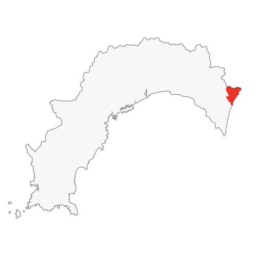 地図イラスト 安芸地域 オーダーメイド退職祝い 栄光のあゆみ