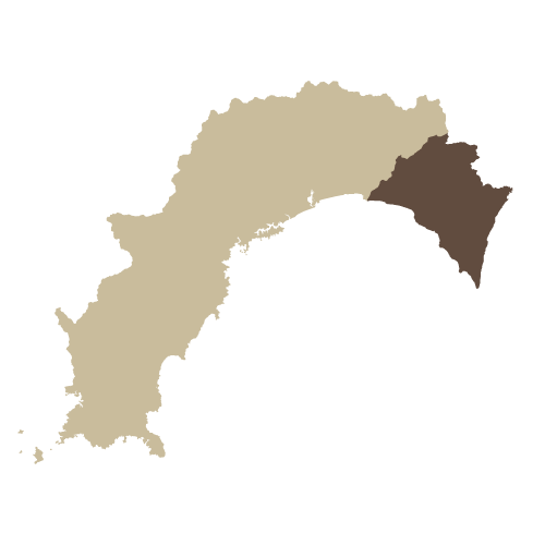 描かれた高知市 高知市史絵図地図編/高知市/高知市史編さん委員会（ペーパーバック） 描かれた高知市(高知市史編さん委員会絵図地図部会 編) / 古本