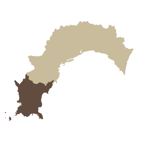 描かれた高知市(高知市史編さん委員会絵図地図部会 編) / 古本