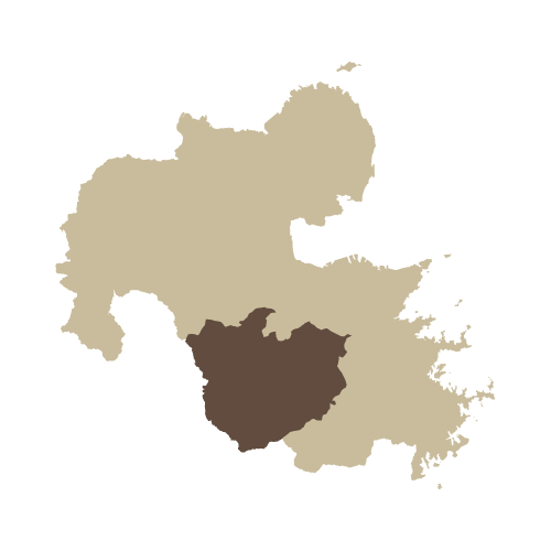 地図イラスト 大分県 オーダーメイド退職祝い 栄光のあゆみ